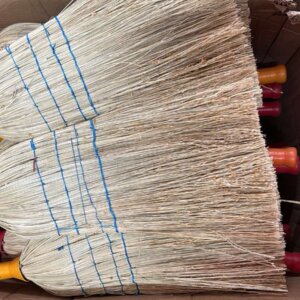 Метла мала Балкан